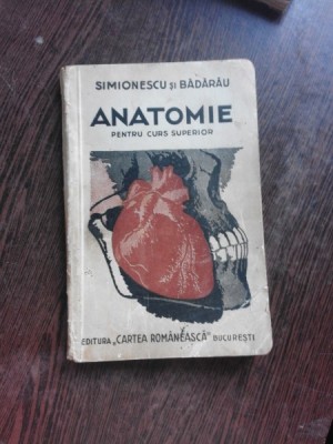 ANATOMIE PENTRU CURS SUPERIOR - SIMIONESCU SI BADARAU foto