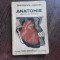 ANATOMIE PENTRU CURS SUPERIOR - SIMIONESCU SI BADARAU