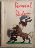 Poneiul Pedro - Erwin Strittmatter// ilustratii Hans Baltzer