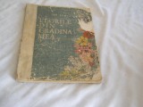 FLORILE DIN GRADINA MEA - AL.BORZA-1960 album cu plante, Alta editura