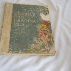 FLORILE DIN GRADINA MEA - AL.BORZA-1960 album cu plante