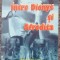 Intre Dionys si Afrodita, Rares Strat, Ed Axis Libri 2012