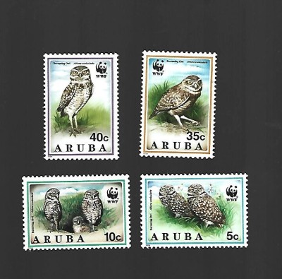 aruba pasari mnh foto