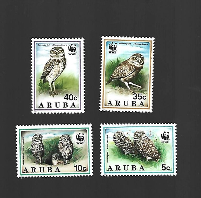 aruba pasari mnh