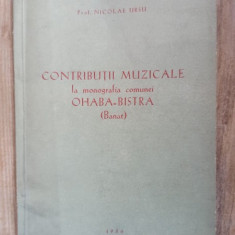 Nicolae Ursu - Contributii Muzicale