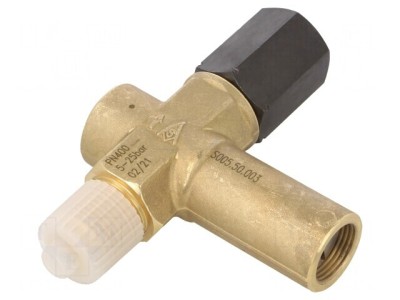 Reductor de Presiune G 1/2 Max 130&amp;deg;C foto