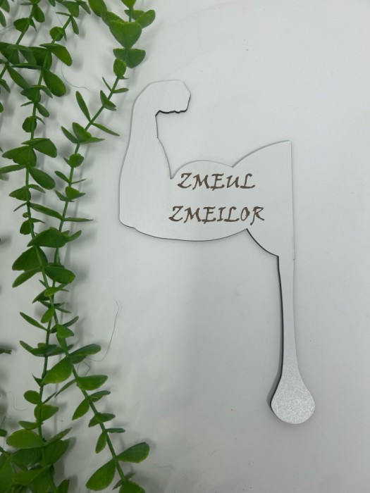 Props cu textul ,,Zmeul Zmeilor din MDF