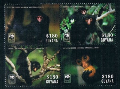 GUYANA 2014 WWF FAUNA PROTEJATA MAIMUTE foto