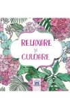 Relaxare si culoare: Carte de colorat + 4 creioane colorate