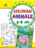 Coloram animale 4-6 ani |, Didactica Publishing House