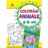 Coloram animale 4-6 ani |