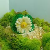 Lumanare Parfumata Handmade din Ceara de Cocos , Floare Alba