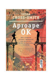 Aproape OK - Paperback brosat - Leesa Cross-Smith - Trei, 2022