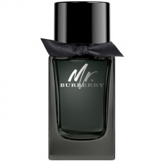 Mr. Burberry Apa de parfum Barbati 100 ml foto