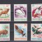 A11 TX6 1 - 1977 - Animale ocrotite in Romania