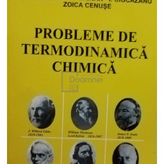 Rodica Vilcu - Probleme de termodinamica chimica (editia 1998)