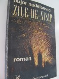 Zile de nisip - Bujor Nedelcovici