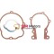 Garnituri scuter 2T moped Piaggio Ciao / Si / Bravo racire aer