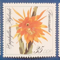 Germania DDR 1989 FLORI, FLORA ,PLANTE , serie 3v Mnh