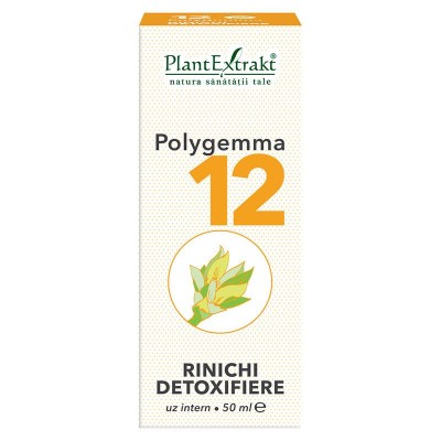 Polygemma 12 - Rinichi Detoxifiere 50ml PlantExtrakt foto