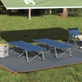 vidaXL Set de pat pliabil pentru camping Albastru Material textil și metal