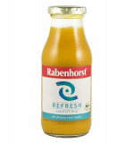 Smoothie Refresh cu Ananas si Ghimbir Bio 240ml Haus Rabenhorst