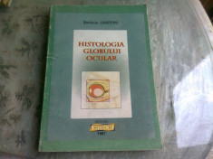 HISTOLOGIA GLOBULUI OCULAR - STEFANIA CRAITOIU foto