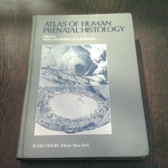 ATLAS OF HUMAN PRENATAL HISTOLOGY - EDITOR HIDEO NISHIMURA (CARTE IN LIMBA ENGLEZA)