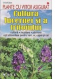 Cultura lucernei si a trifoiului. Cultura, recoltare, pastrare, ratii alimentare pentru vaci, oi, capre si cai - Departamentul de Agrotehnica MAST
