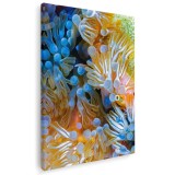 Tablou recif de corali si anemone 1699 Tablou canvas pe panza CU RAMA 80x120 cm