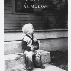 Aminek almodom | David Lynch, Kristine McKenna