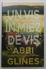 UN VIS IN MIEZ DE VIS de ABBI GLINES , roman , 2022 foto