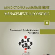 Minidictionar de management 8: Managementul economic - Ovidiu Nicolescu