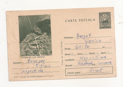 RF26 -Carte Postala- Pastravi din Lacul Zanoaga, circulata 1963 foto