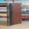 GEORGE COSBUC - ZIARUL UNUI PIERDE-VARA ( VERSURI ) , ED. 1-A , SOCECU , 1902 +