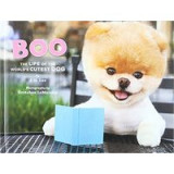 Boo: The Life of the World&#039;s Cutest Dog