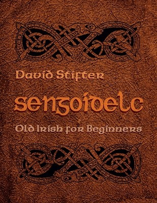 Sengoidelc: Old Irish for Beginners foto