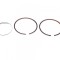 Set 2 segmenti 70cc pentru 2T, d. 47.00 Cod Produs: MX_NEW AYC31411