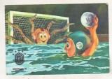bnk cp Universiada `81 - Polo - circulata