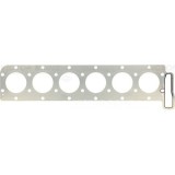 Victor Reinz Garnitura, chiulasa