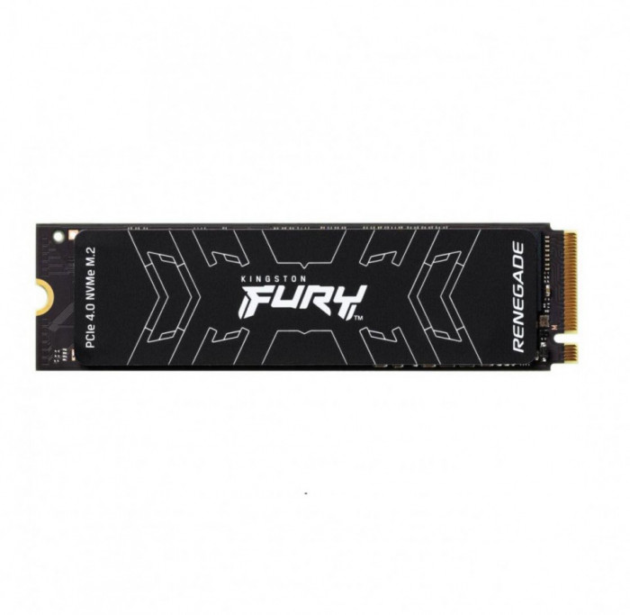 KS SSD 500GB M.2 2280 FURY RENEGADE