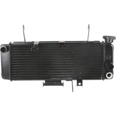 Radiator Suzuki&nbsp;SV650 SV650S SV650A SV650SA 2003-2004