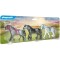 Playmobil Country Set 3 cai
