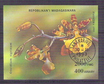 Madagascar 1993 Orchids, perf. sheet, used AB.033 foto