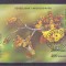 Madagascar 1993 Orchids, perf. sheet, used AB.033
