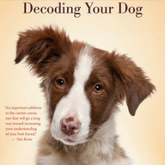 Decoding Your Dog: Explaining Common Dog Behaviors and How to Prevent or Change Unwanted Ones