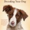 Decoding Your Dog: Explaining Common Dog Behaviors and How to Prevent or Change Unwanted Ones