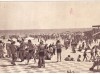 Mamaia (necirculata)
