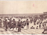 Mamaia (necirculata)