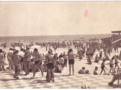 Mamaia (necirculata) foto
